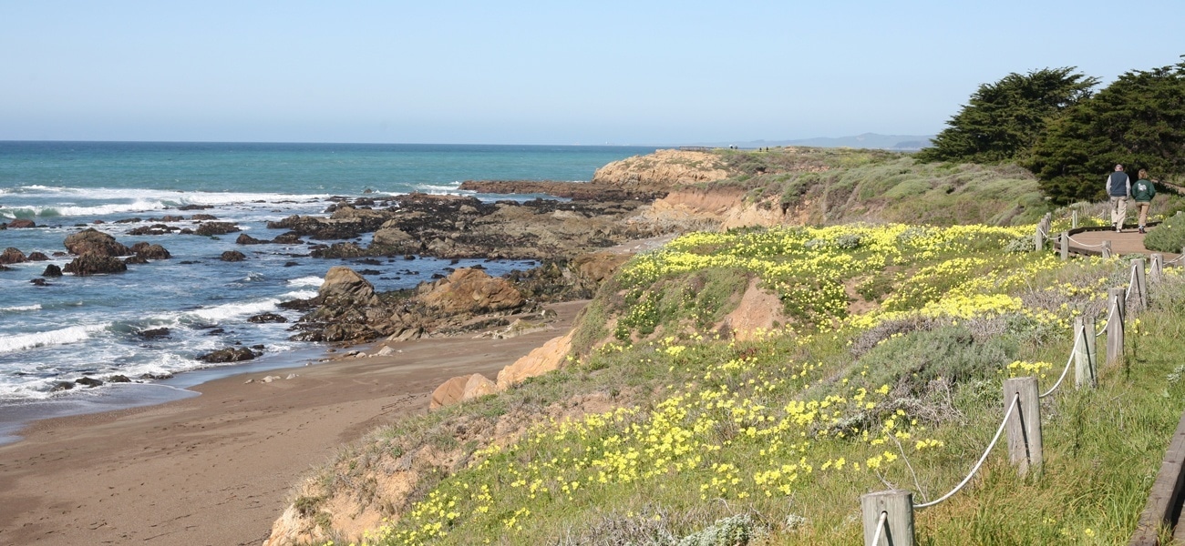 Cambria Inns Collection Oceanfront Cambria CA Hotels