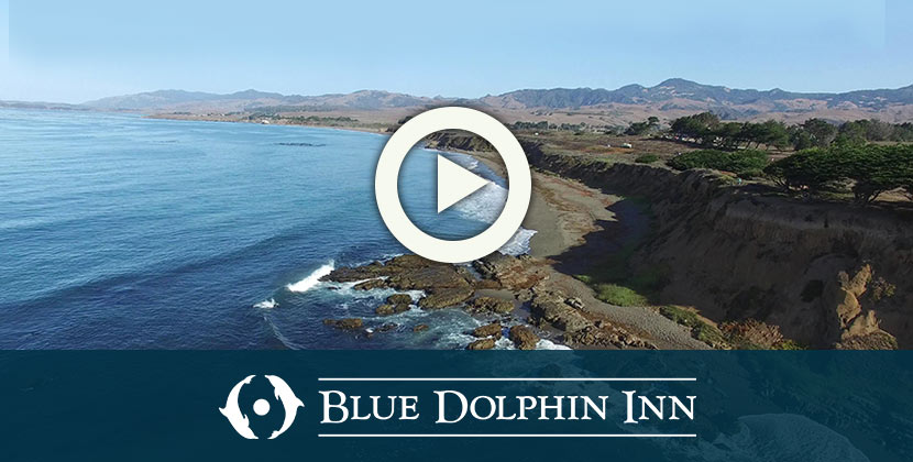 Blue Dolphin Inn Cambria Ca Steps From Moonstone Beach Luxury