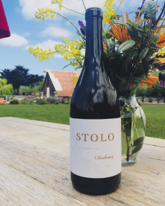 Stolo wine with bouquet top 10 things to do